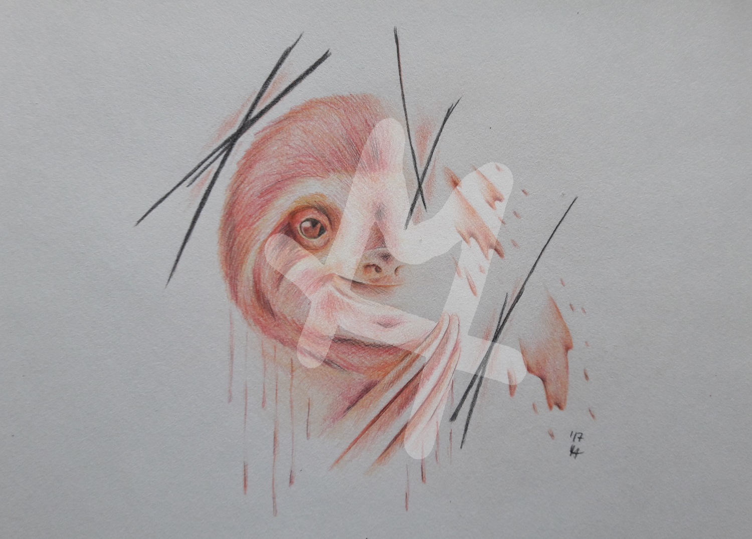 Sloth