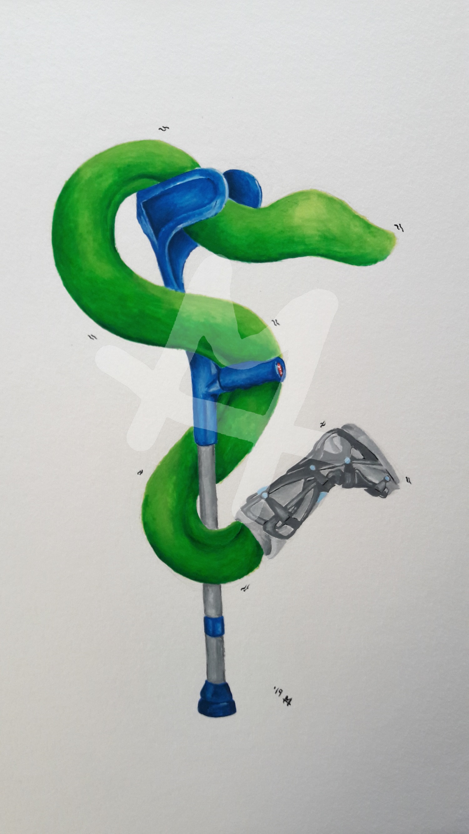 Orthopedist