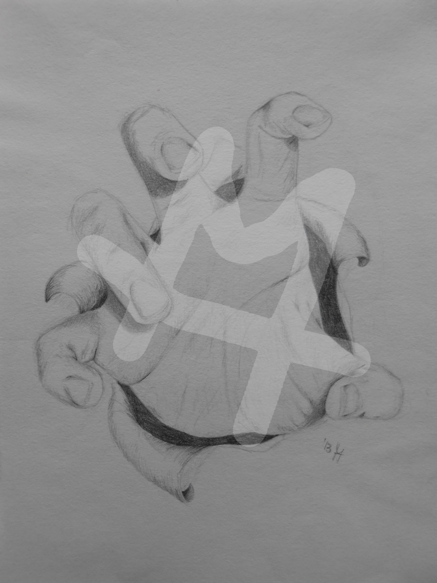 3D Hand