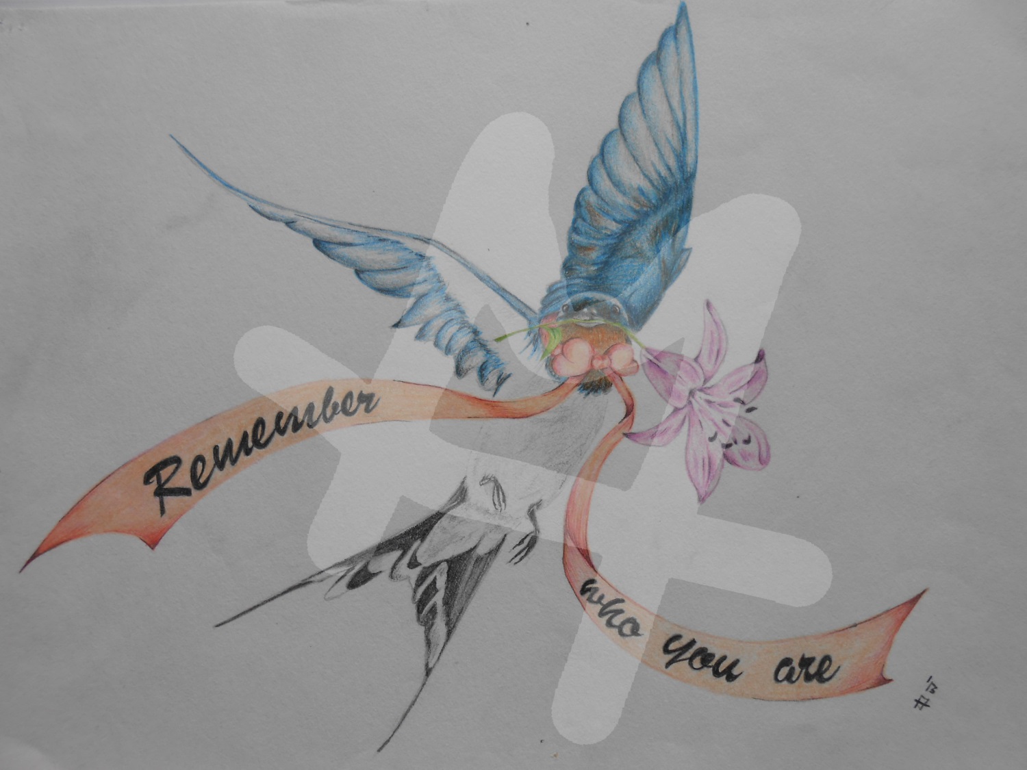 Swallow